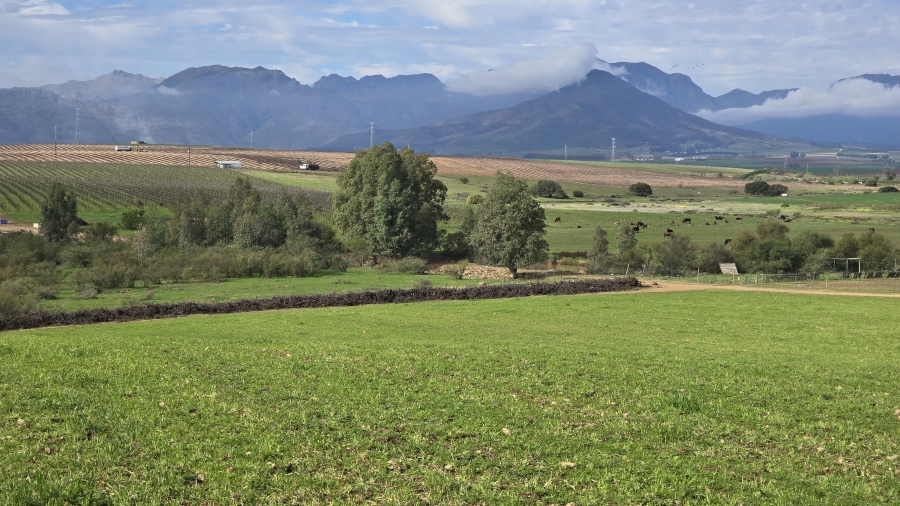 0 Bedroom Property for Sale in Wellington Rural Western Cape